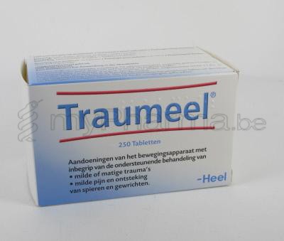 TRAUMEEL HEEL 250 TABL                     (homeopatisch geneesmiddel)
